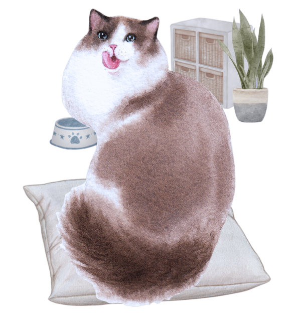 CatBuddy preview